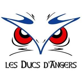 duc angers